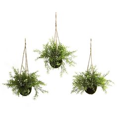 three hanging planters filled with green plants