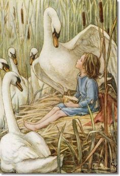 Cicely Mary Barker,