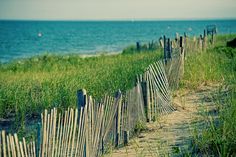 a wooden fence next to the ocean with grass growing on it and water in the background