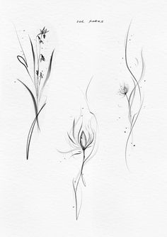 three different types of flowers drawn on paper