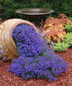 purple flowers are growing out of an old barrel in the middle of a flower garden