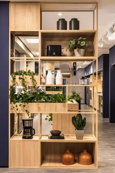 a shelf with plants and coffee pots on it