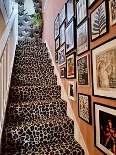 a set of stairs with pictures on the wall