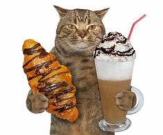 a cat is holding two pastries and a drink