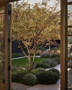 an open door leading to a garden with trees and shrubs in the foreground,