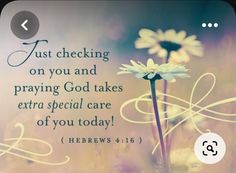 a flower with the words just checking on you and praying god takes extra special care of you today