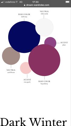 Sultry Winter, True Winter Color Palette, Cool Winter Color Palette, Style Analysis