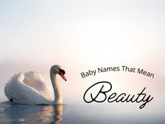 a white swan floating on top of water with the words boy names that mean beauty