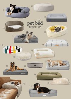 various types of dog beds and couches for dogs that are all different sizes, shapes and colors