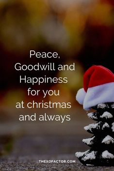 a small christmas tree with a santa hat on it and the words peace, god will and happiness for you at christmas and always