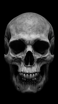 a black and white photo of a human skull on a dark background with the lower jaw visible