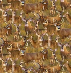 a herd of deer standing on top of a grass covered field