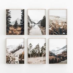 four photographs hanging on the wall with trees and mountains in the background, all showing different types of snow