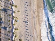 an aerial view of the beach and ocean with palm trees