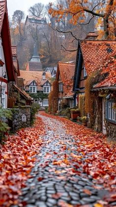 a cobblestone road with autumn leaves on the ground and houses in the background