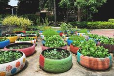 many different colored tires with plants growing in them on the ground near some trees and bushes