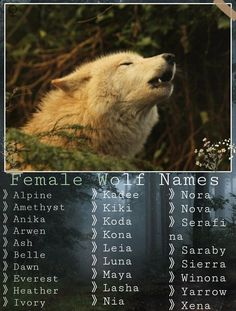 an animal with its head up in the air and words below it that read female wolf names