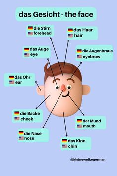 an image of a face with different parts labeled in german and german words on it