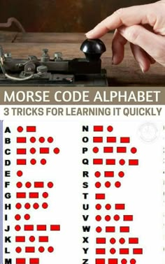 an image of a mouse and alphabets for learning it quickly