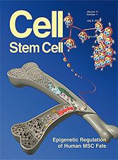 Cell Stem Cell Vol. 11, No. 1 (2012) journal Stem Cell Research, Android Tablets, Stem Cells, Digital Magazine, No 1, Ipad, Science, Human