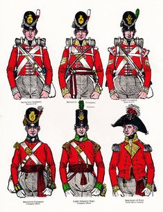 BRITREG-0P Silver Bayonet, Napoleonic Infantry, Red Coats, Coldstream Guards, Waterloo 1815, British Army Uniform, British Uniforms