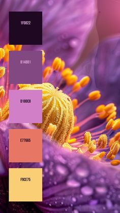 Colors:
1F0822
814881
D180C8
E77665
F9CE75 Flowers Palette Color, Purple And Yellow Palette, Nail Colour Combos, Orchid Color Palette, Orchid Outline, Flower To Draw, Purple Colour Scheme, Yellow Color Combinations, The Peripheral