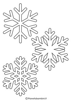 two snowflakes are shown in black and white