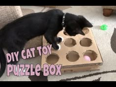 a black cat laying on top of a cardboard box