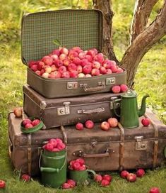 suitcases stacked on top of each other in the grass with apples piled up next to them