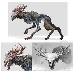 three different pictures of an animal with antlers on it's back and side