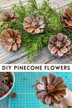 pinecone flowers are arranged on a table with pine cones