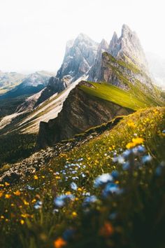 the mountains are covered in wildflowers and grass