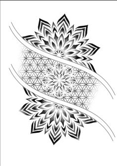 a black and white drawing of a flower with an arrow on it's side