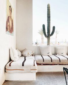 the instagram page shows an image of a couch and cactus in front of a window