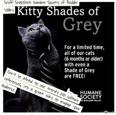 a black cat wearing a tie and looking up at the sky with caption that reads kitty shades of grey