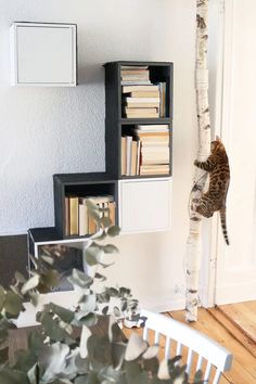 ikea hack for cats, bookshelf cat tower climber Ikea Eket, Living With Cats, Cat Hacks