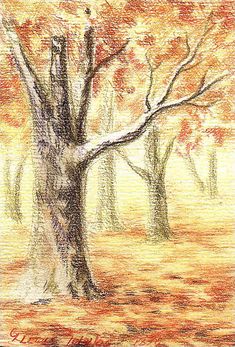 a drawing of a tree in the fall