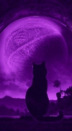 a black cat sitting in front of a purple moon