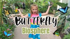 BUTTERFLY MUSEUM 🦋 Thanksgiving Point, Utah - YouTube Thanksgiving Point Utah, Butterfly Biosphere, Butterfly Museum, Utah Salt Lake City, Travel Vlog, Lake City