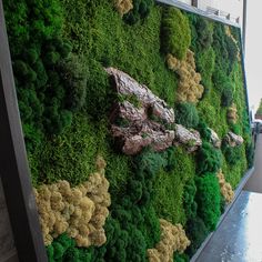 a moss covered wall with rocks and trees in the middle is displayed on a table