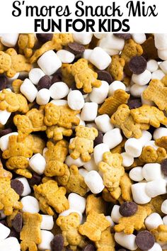 a pile of s'mores snack mix with text overlay that reads, s'mores snack mix fun for kids