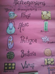 a pink bulletin board with different types of food and words written in spanish on it