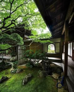 an outdoor area with rocks, grass and trees