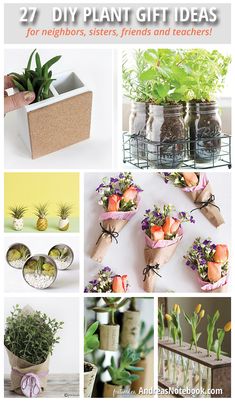 several different pictures with flowers and plants in vases on the table, including an egg crate