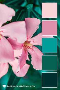 pink flowers with green leaves in the background and text overlay that says color palette