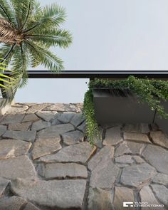 there is a potted plant on top of a stone floor next to a palm tree