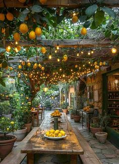 an outdoor dining area with lemons on the table and lights hanging from the ceiling