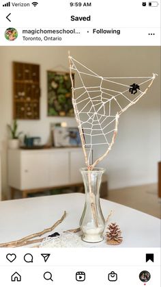 a spider web in a vase on a table