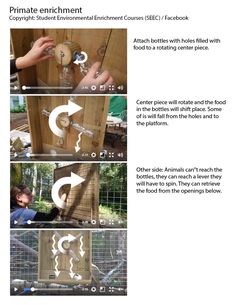 the instructions for how to make a birdhouse