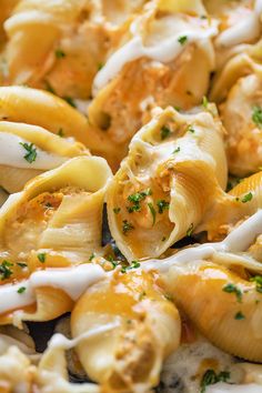 a close up view of some pasta shells with cheese and parsley on top, ready to be eaten